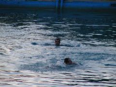 sebetov_2004_masinka_089.jpg
