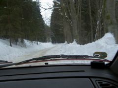 klouzani_2005_garfield_003.jpg