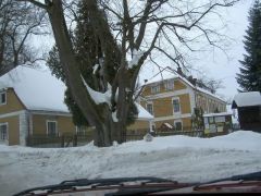 klouzani_2005_garfield_005.jpg