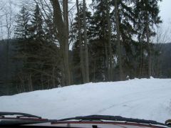 klouzani_2005_garfield_009.jpg