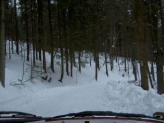 klouzani_2005_garfield_010.jpg