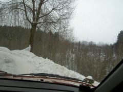klouzani_2005_garfield_012.jpg