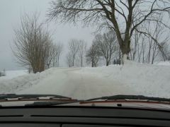 klouzani_2005_garfield_023.jpg