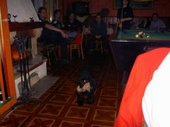 klouzani_2005_garfield_074.jpg
