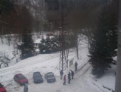 klouzani_2005_medved_001.jpg
