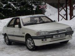 klouzani_2005_medved_007.jpg