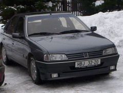klouzani_2005_medved_008.jpg