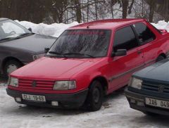 klouzani_2005_medved_011.jpg