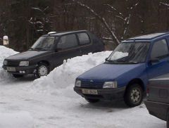 klouzani_2005_medved_013.jpg