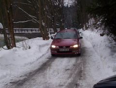klouzani_2005_medved_021.jpg