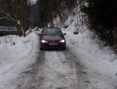 klouzani_2005_medved_022.jpg
