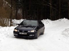 klouzani_2005_had_027.jpg