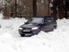 klouzani_2005_had_029.jpg