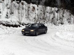 klouzani_2005_had_030.jpg