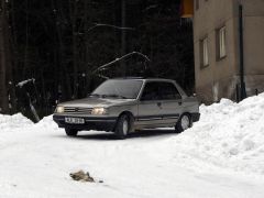 klouzani_2005_had_035.jpg
