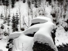 klouzani_2005_had_038.jpg