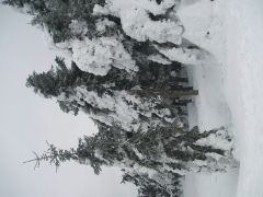 klouzani_2006_zipik_019.jpg