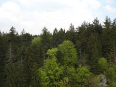 14_sraz_ochoz_jirkap_211.jpg