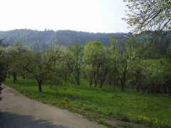 14_sraz_ochoz_marcel505_044.jpg