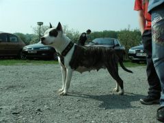 14_sraz_ochoz_minimaxa_029.jpg