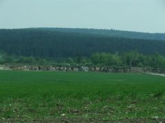 14_sraz_ochoz_minimaxa_141.jpg