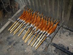 sebetov06_garfield_014.jpg
