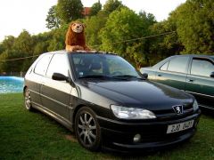 sebetov06_garfield_021.jpg