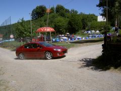 sebetov06_garfield_098.jpg