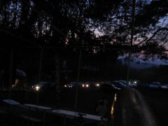sebetov06_tommy306_031.jpg