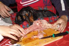 kostelec_06_aka_149.jpg