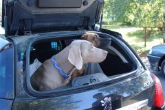 kostelec_06_aka_221.jpg