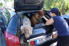 kostelec_06_aka_222.jpg