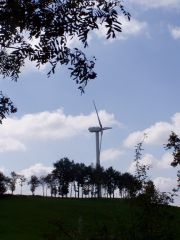 kostelec_06_devilstorm_004.jpg