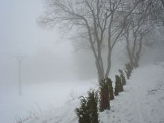klouzani_07_marcel505_061.jpg