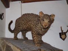 klouzani_07_minimaxa_095.jpg