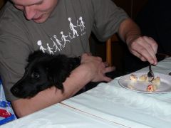 klouzani_2007_zipik_005.jpg