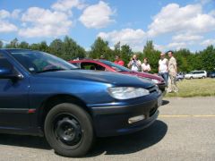 sebetov_2007_koudak_053.jpg