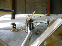 sebetov_2007_koudak_066.jpg