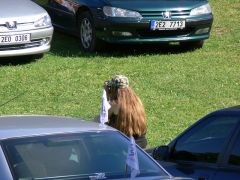 sebetov_2007_hurvajz_003.jpg
