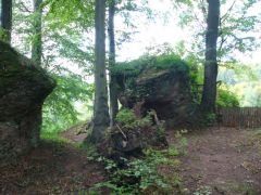 kostelec_07_koudak_098.jpg