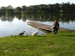 kostelec_07_mitch_mb_273.jpg