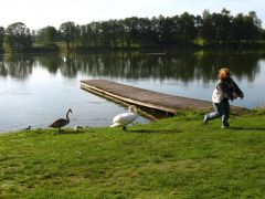 kostelec_07_mitch_mb_274.jpg