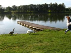 kostelec_07_mitch_mb_275.jpg