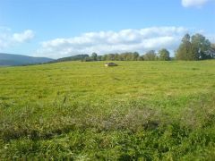 kostelec_07_pe_tr_053.jpg
