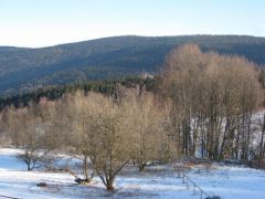 klouzani_2008_john_087.jpg