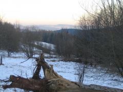 klouzani_2008_pe_tr_008.jpg