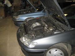klouzani_2008_pe_tr_032.jpg