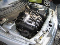 klouzani_2008_pe_tr_055.jpg