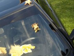 sec_2008_kong_044.jpg