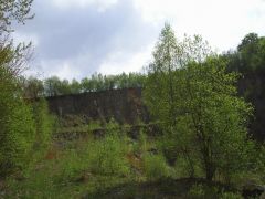 sec_2008_marcel505_012.jpg